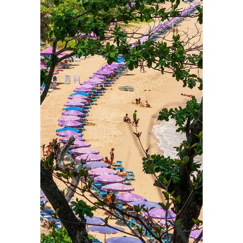 Haseltine, Tom 아티스트의 Thailand-Phuket-Umbrellas and chairs on the sandy beach작품입니다.